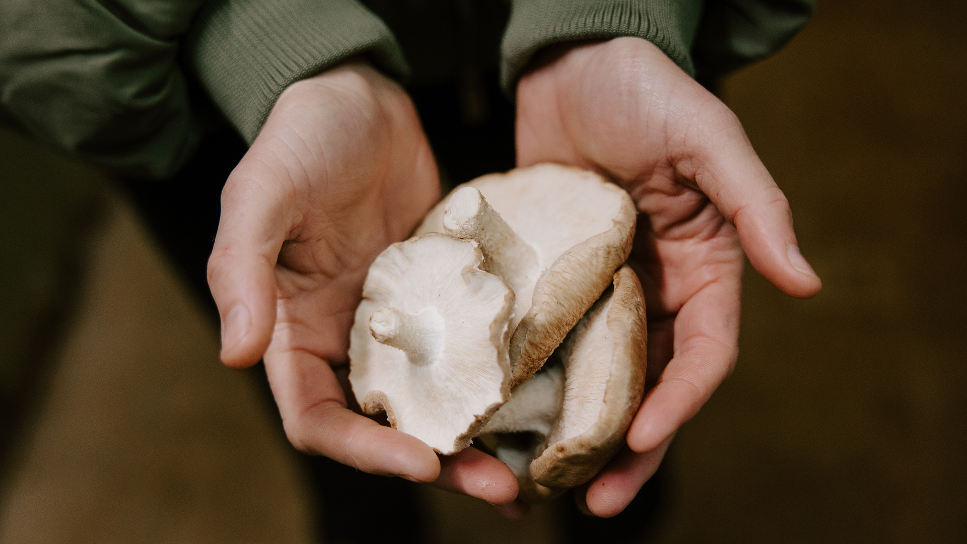 Close-up of hands cupping a rough piece of white clay or natural mineral material against a dark background
