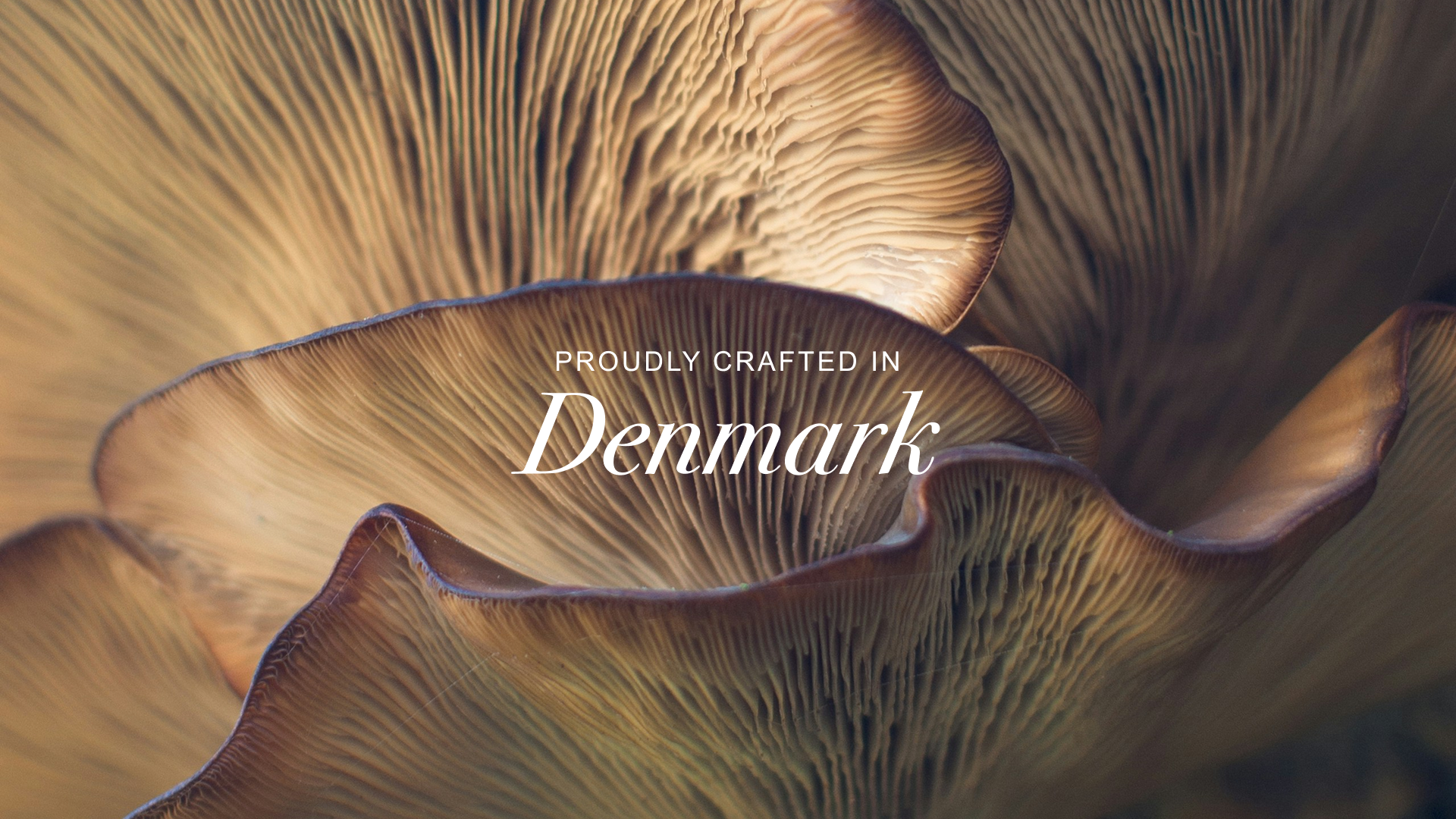 Meta ad creative showing layered mushroom imagery with 'Proudly Crafted in Denmark' text overlay for a wellness supplement brand