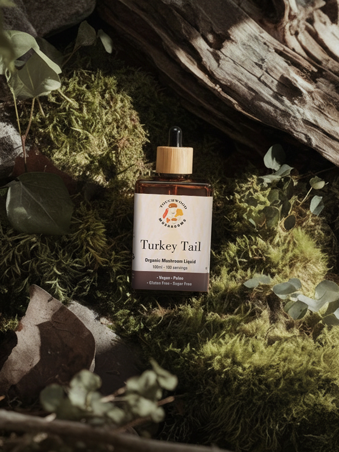 Touchwood Mushrooms Turkey Tail supplement bottle nestled among green plants in a lush natural outdoor setting