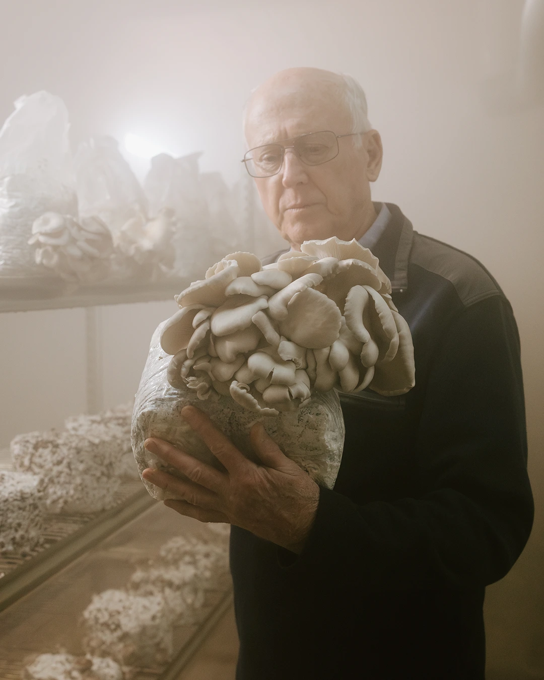 Outdoor portrait of a distinguished older man with grey hair, hands cupped in front of him — Touchwood Mushrooms lifestyle photography