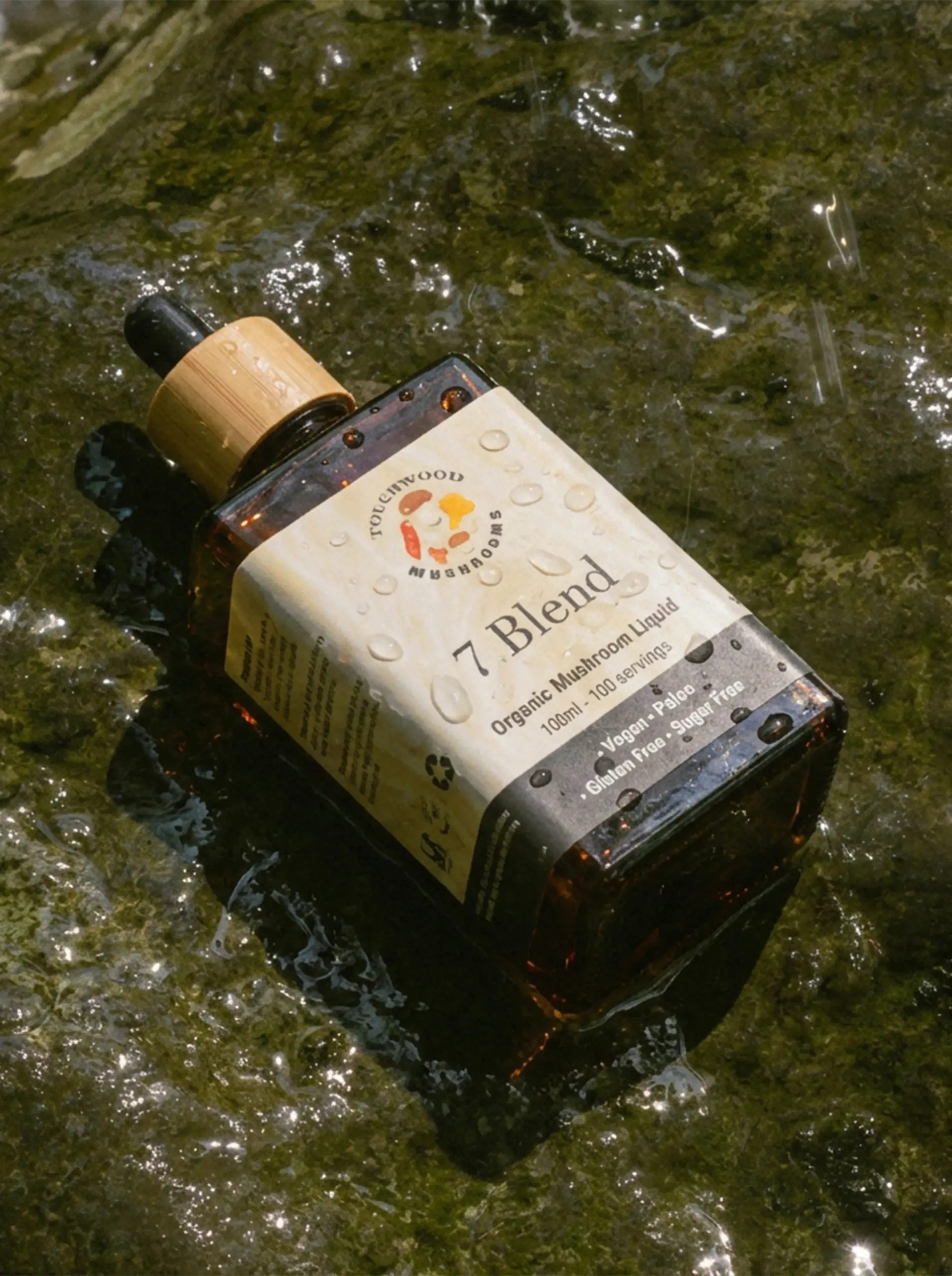 Touchwood-Mushroom-7-Blend-Mushroom