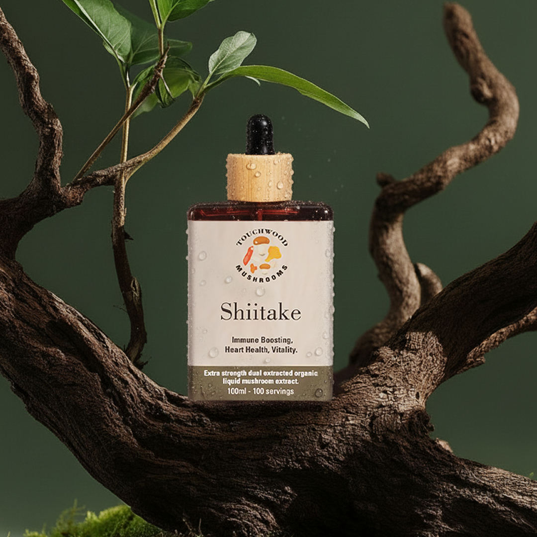 Touchwood wooden product with a tree or plant element on a natural background