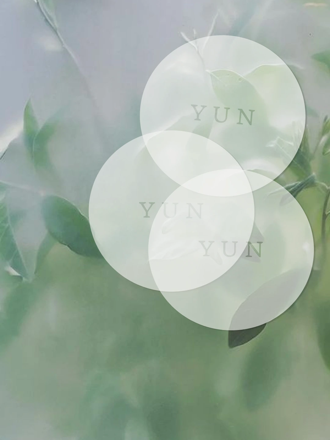 YUN-15