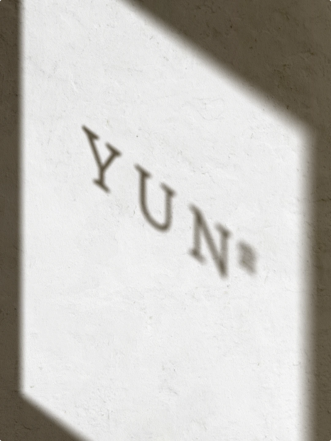 YUN-11